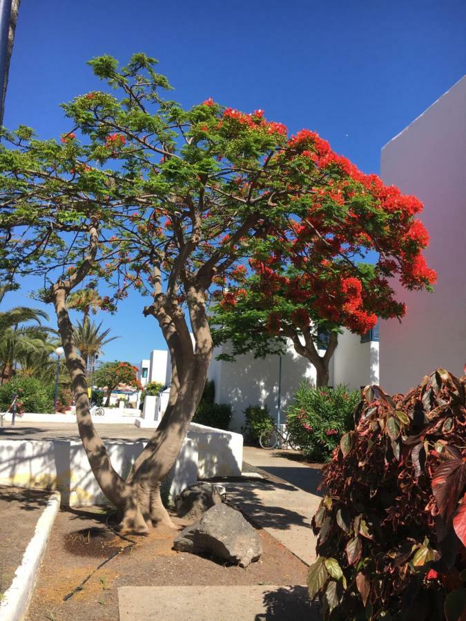 Apartmán Los Barqueros Corralejo "Beach Front - Town Centre" Exteriér fotografie